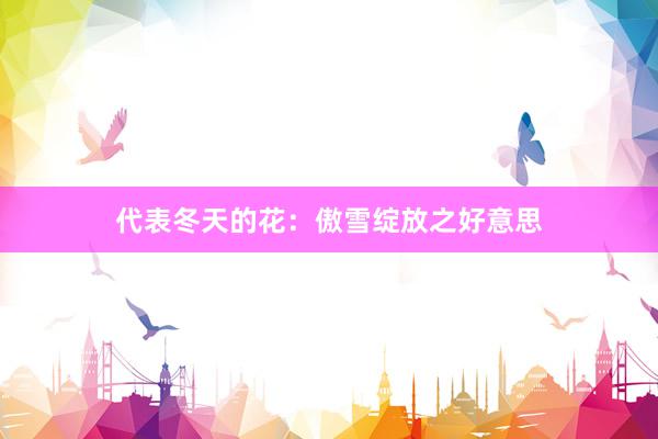 代表冬天的花：傲雪绽放之好意思